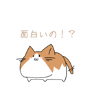 不動ねこ（個別スタンプ：14）