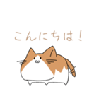 不動ねこ（個別スタンプ：18）