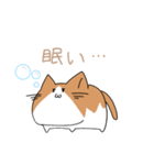 不動ねこ（個別スタンプ：20）