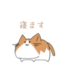 不動ねこ（個別スタンプ：21）