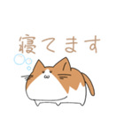 不動ねこ（個別スタンプ：22）