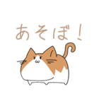 不動ねこ（個別スタンプ：23）