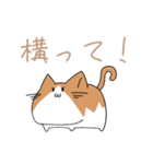 不動ねこ（個別スタンプ：24）