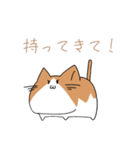 不動ねこ（個別スタンプ：25）