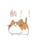 不動ねこ（個別スタンプ：26）