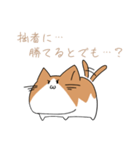 不動ねこ（個別スタンプ：28）