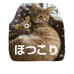 [LINEスタンプ] ほつこりネコ