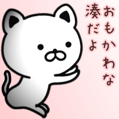 [LINEスタンプ] 湊さん専用面白可愛い名前スタンプ