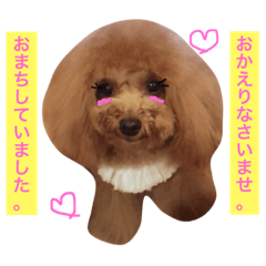 [LINEスタンプ] ひめてぃあら