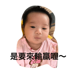 [LINEスタンプ] Chou pi answer