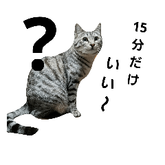 [LINEスタンプ] hiziro