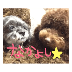 [LINEスタンプ] ちょことぼんご