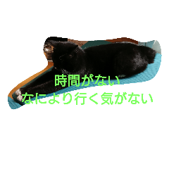 [LINEスタンプ] Otenの画像（メイン）