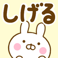 [LINEスタンプ] ☆しげる☆が使う名前スタンプ