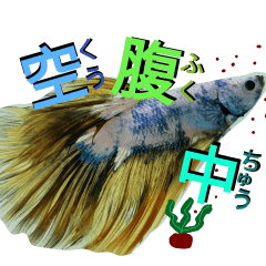 [LINEスタンプ] 日常系の魚