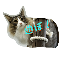 [LINEスタンプ] ねこもわいわいスタンプvol.1