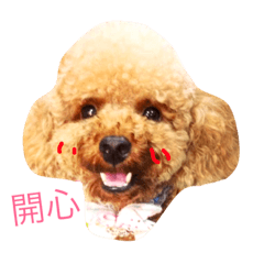 [LINEスタンプ] Riches dog life daily