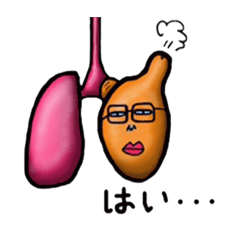 [LINEスタンプ] 人体ミステリー