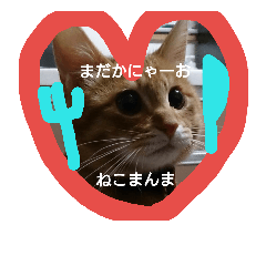 [LINEスタンプ] みーるくんの日常の画像（メイン）