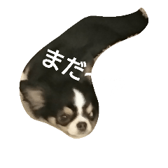 [LINEスタンプ] cinaore