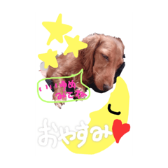 [LINEスタンプ] C-ute dog