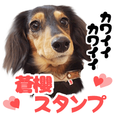 [LINEスタンプ] 可愛い可愛い蒼櫻スタンプ