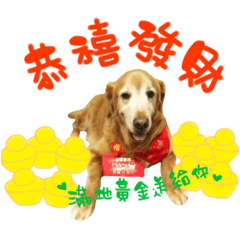 [LINEスタンプ] Greedy dog "whisky"