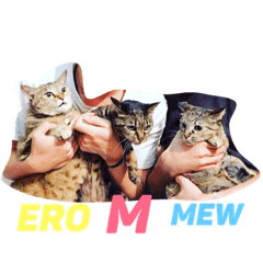 [LINEスタンプ] M＆Mew＆Ero＆Daddy