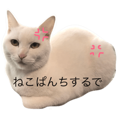 [LINEスタンプ] ふくちゃんっていいます