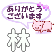 林「はやし」さん専用。日常会話