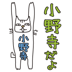 [LINEスタンプ] ばんざい猫 小野寺用の画像（メイン）