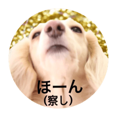 [LINEスタンプ] バニラ家(笑ver