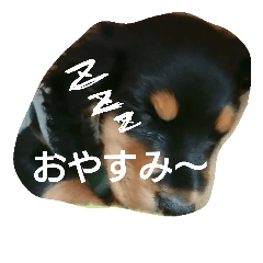 [LINEスタンプ] ルーク君の日常 わんっ！