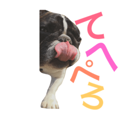 [LINEスタンプ] TOTO's daily