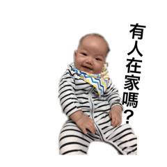 [LINEスタンプ] my son yoyo