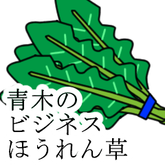 [LINEスタンプ] 青木のビジネスほうれん草の画像（メイン）