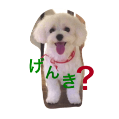 [LINEスタンプ] ハコニコ