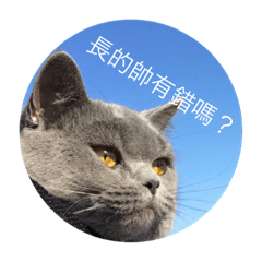 [LINEスタンプ] Miao Zai No.1