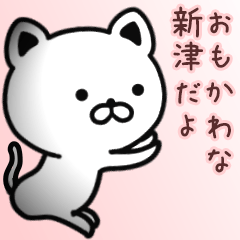 [LINEスタンプ] 新津さん専用面白可愛い名前スタンプ