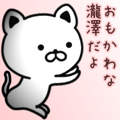 [LINEスタンプ] 瀧澤さん専用面白可愛い名前スタンプ