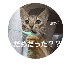 [LINEスタンプ] アビくん2