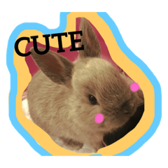 [LINEスタンプ] RABBIT Otochan