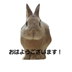 [LINEスタンプ] ジョーニアス