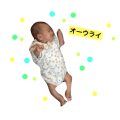 [LINEスタンプ] あらろくとおっこら