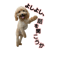 [LINEスタンプ] 犬のスタンプ2