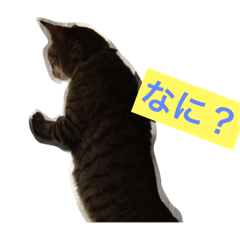 [LINEスタンプ] Nyaruto7