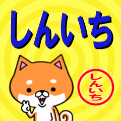 [LINEスタンプ] 超★しんいち(シンイチ)な柴イヌ