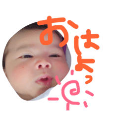 [LINEスタンプ] かいたんの毎日