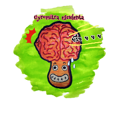 [LINEスタンプ] Amazing mushroom