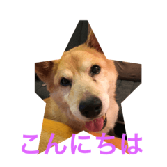 [LINEスタンプ] ゆうとちゃあ